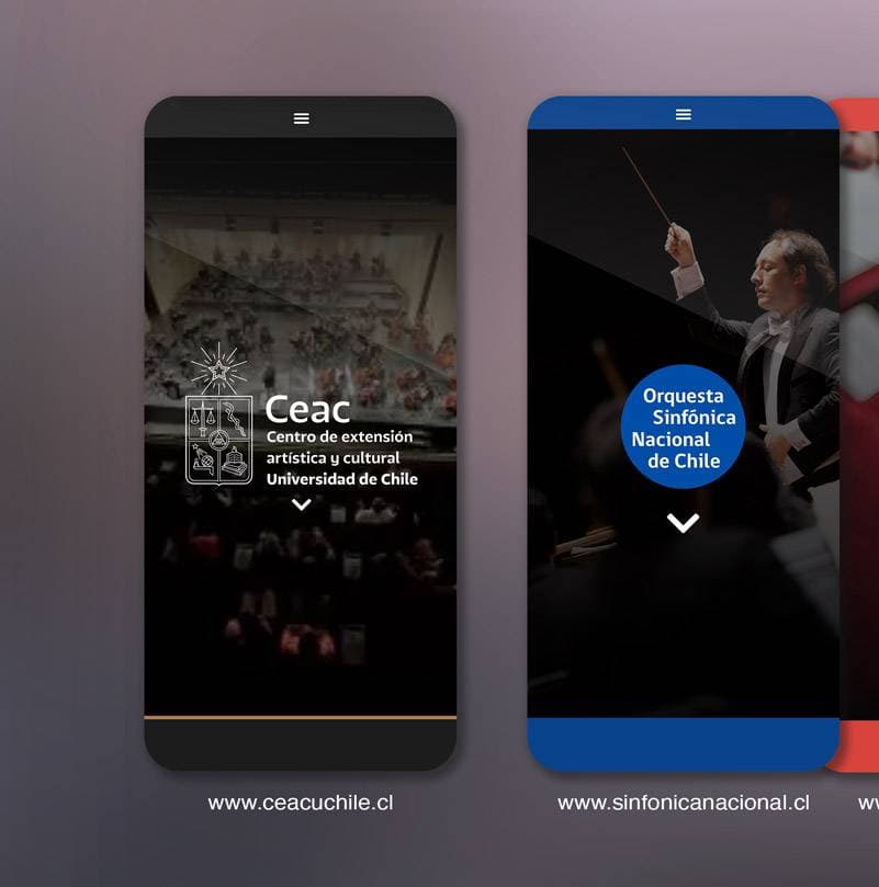 Desarrollo Web CEAC UChile — imagen 8