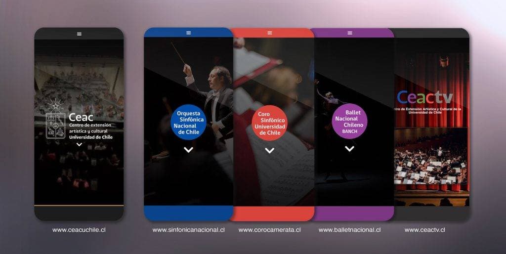 Desarrollo Web CEAC UChile — imagen 7