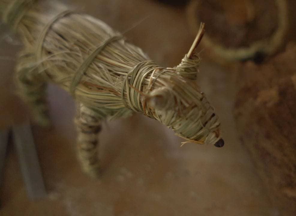 Epew II — Relatos Mapuche — imagen 3