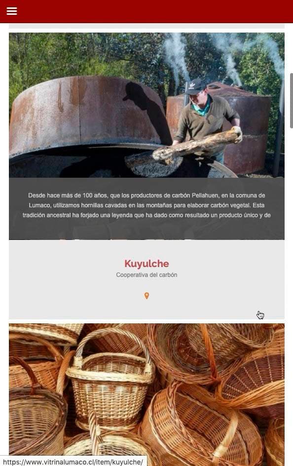 Vitrina Lumaco — Plataforma Web — imagen 4