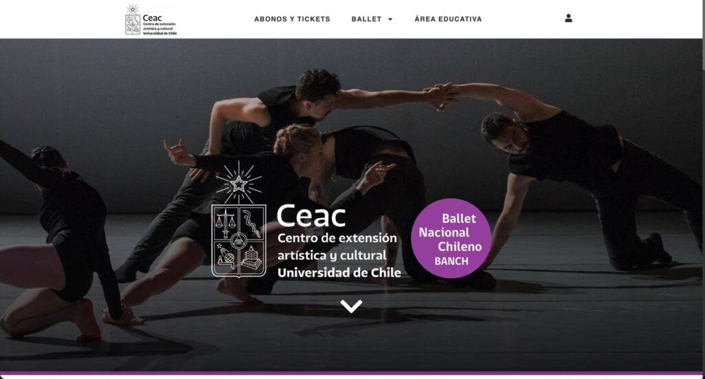 Sitio Web Ballet Nacional — imagen 1
