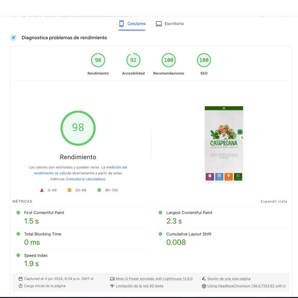 Sitio Web Catapilcana — imagen 2