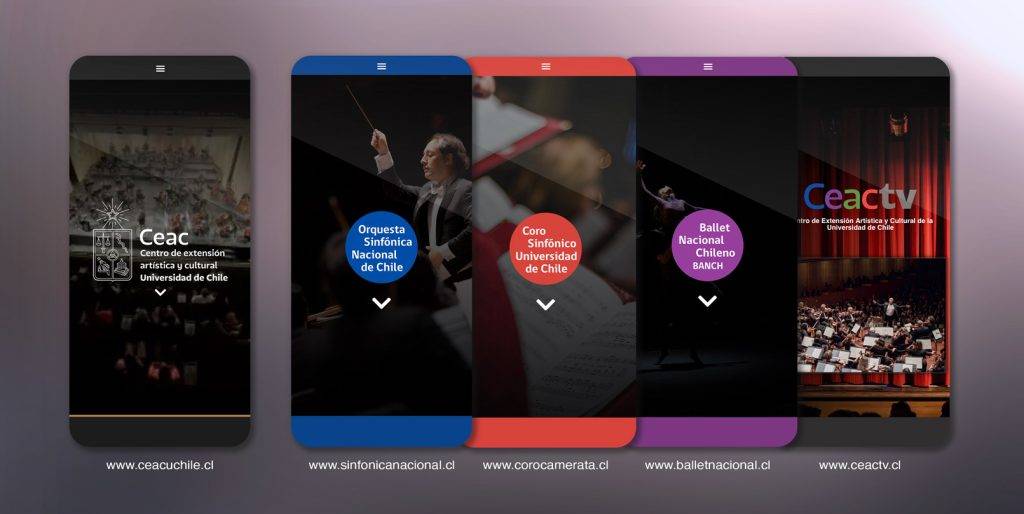 Desarrollo Web CEAC UChile — imagen 7