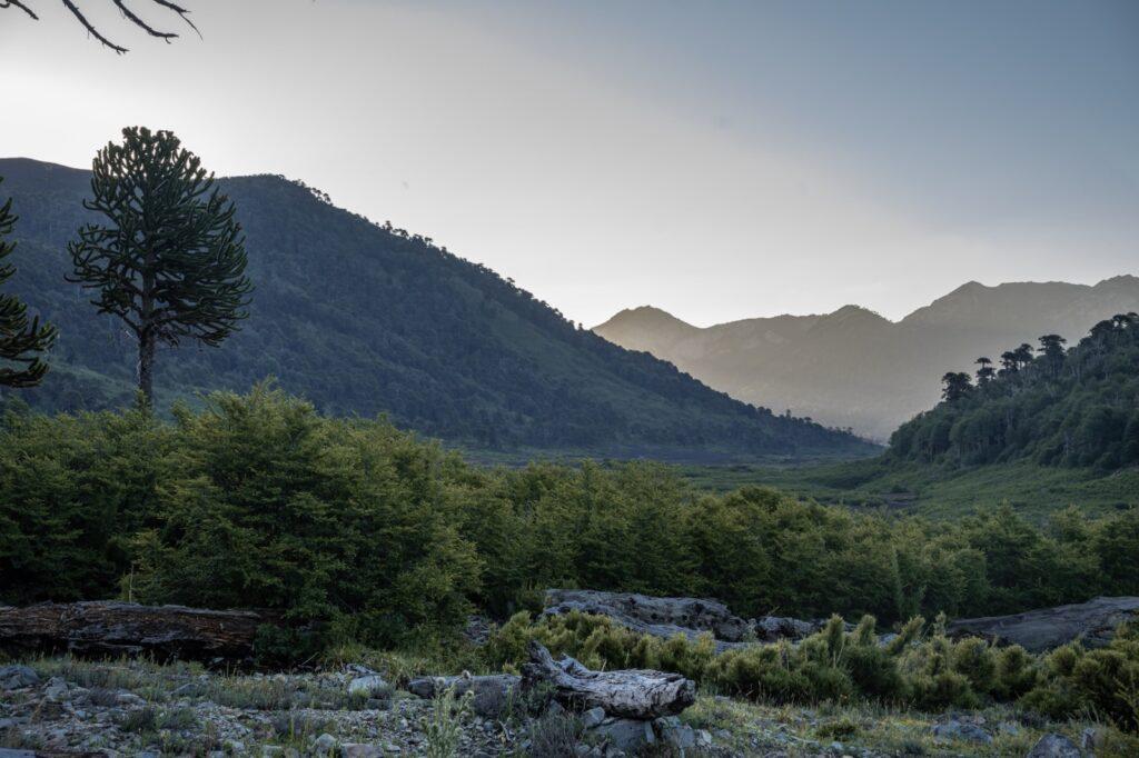 Epew II — Relatos Mapuche — imagen 18