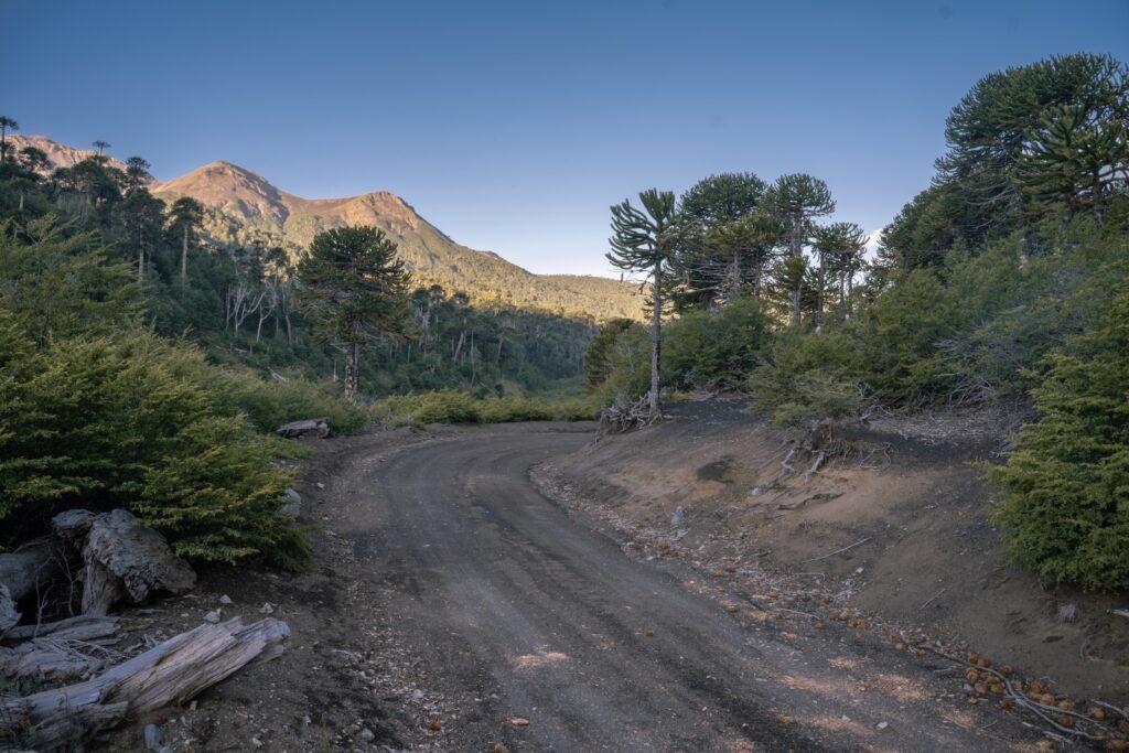 Epew II — Relatos Mapuche — imagen 20