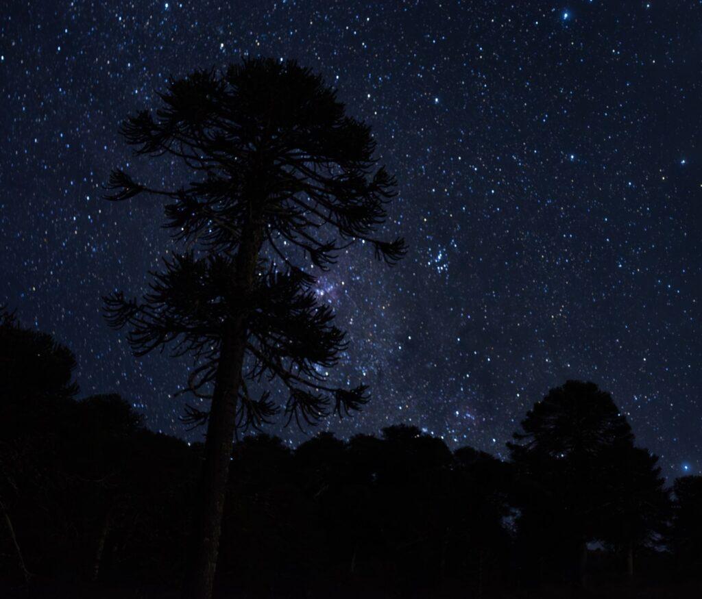 Epew II — Relatos Mapuche — imagen 21