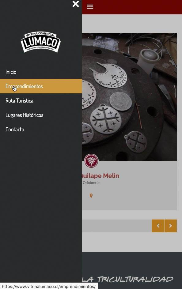 Vitrina Lumaco — Plataforma Web — imagen 3