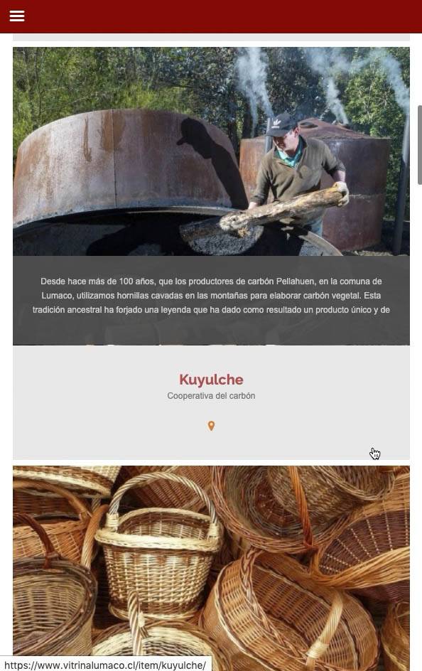 Vitrina Lumaco — Plataforma Web — imagen 4
