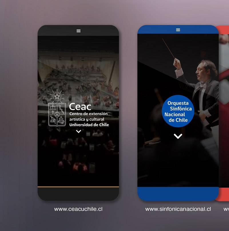 Desarrollo Web CEAC UChile — imagen 8